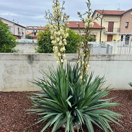 Apartmán Nuova Ostiglia Padernello